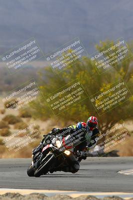 media/Apr-10-2022-SoCal Trackdays (Sun) [[f104b12566]]/Turn 5 Tree of Life (1040am)/